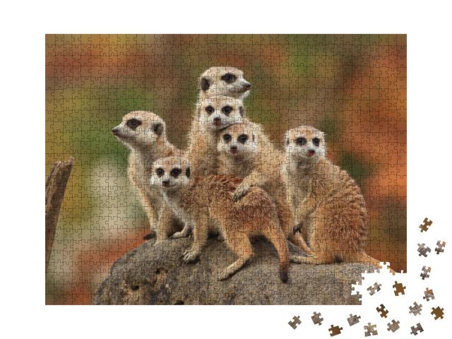 Puzzle de 1000 pièces « Groupe de suricates »