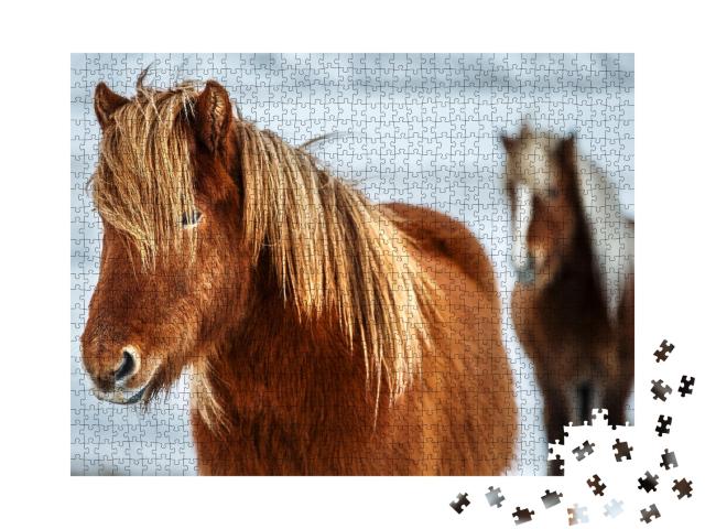 Puzzle de 1000 pièces « Portrait d'un beau cheval islandais »