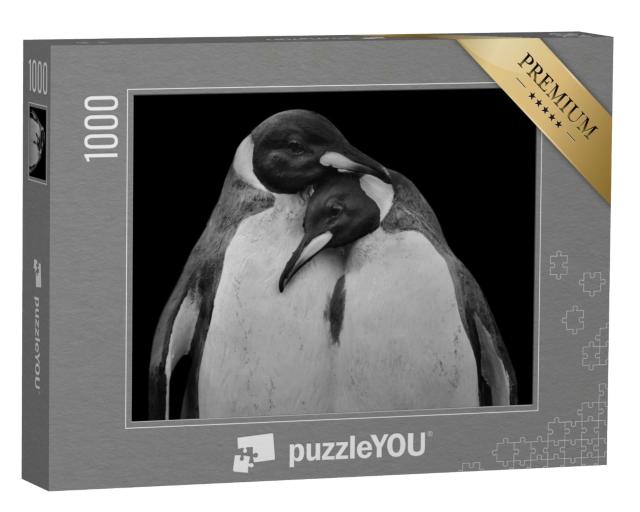 Puzzle de 1000 pièces « Couple de pingouins enlacés »