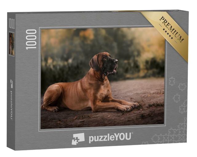 Puzzle de 1000 pièces « Le dogue allemand »