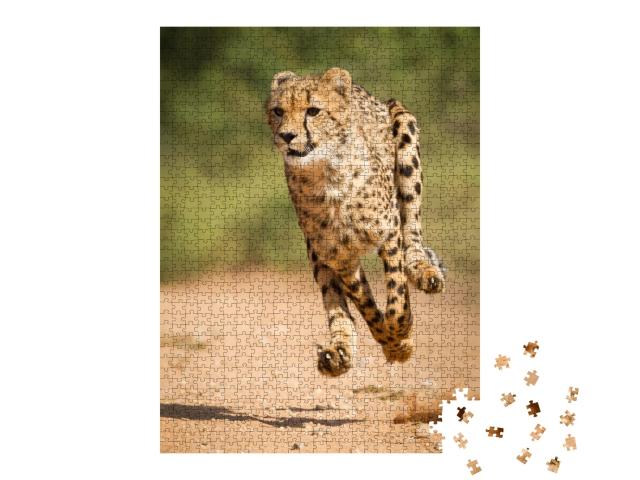 Puzzle de 1000 pièces « Guépard rapide, Parc Kruger, Afrique du Sud »