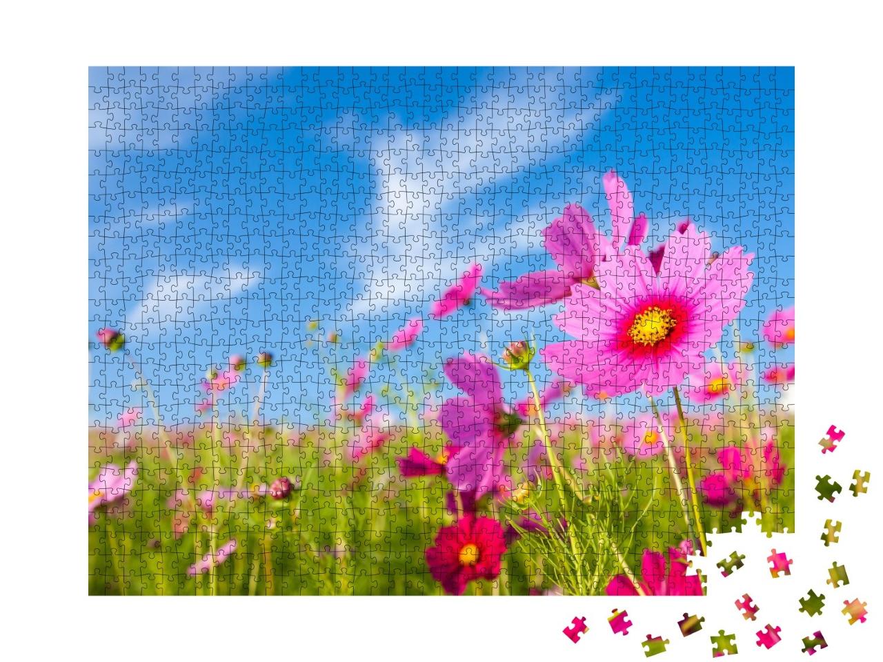 Puzzle de 1000 pièces « Prairie de cosmos en fleurs »