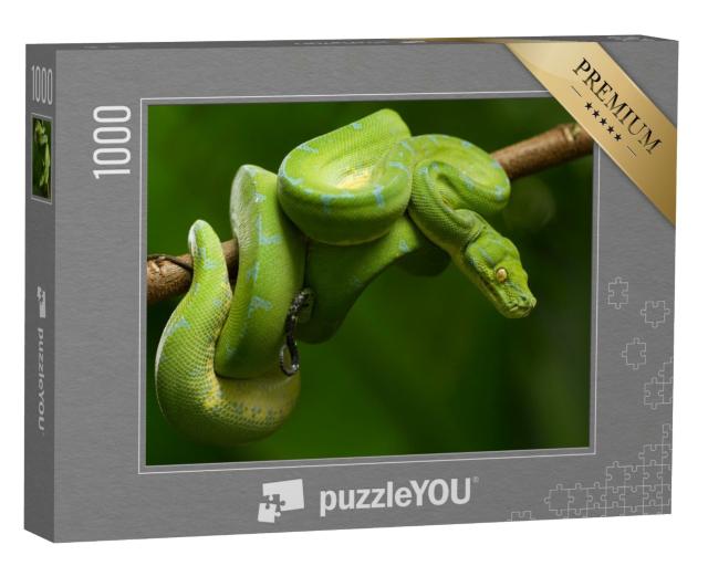 Puzzle de 1000 pièces « Python arboricole en vert vif »