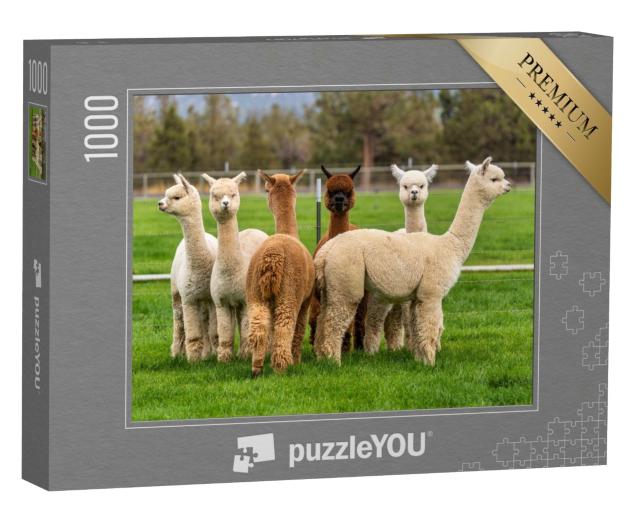 Puzzle de 1000 pièces « Des alpagas dans un ranch de l'Oregon »
