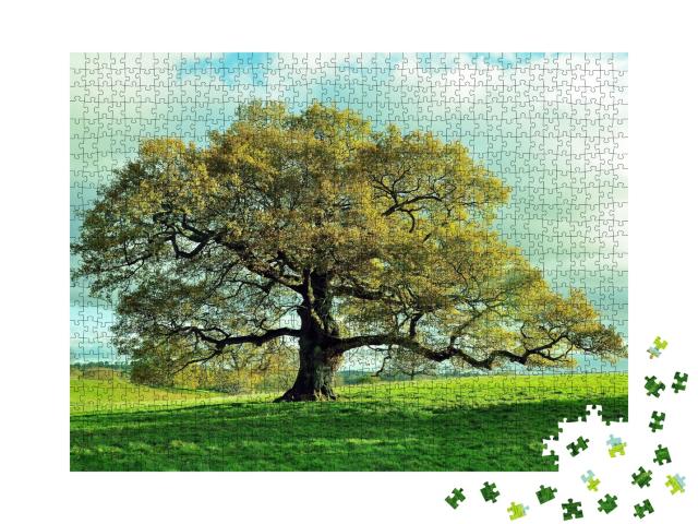 Puzzle de 1000 pièces « Vieux chêne dans une prairie anglaise »