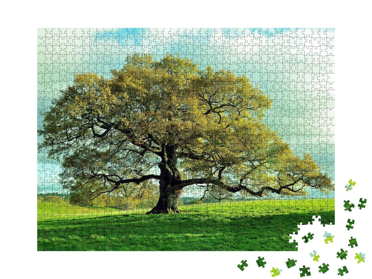 Puzzle de 1000 pièces « Vieux chêne dans une prairie anglaise »