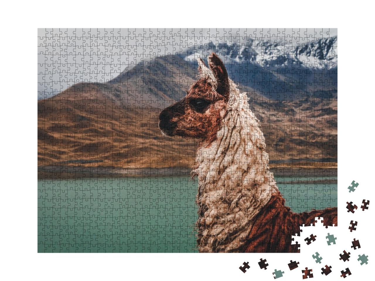 Puzzle de 1000 pièces « Lama à la Laguna Tuni en Bolivie »