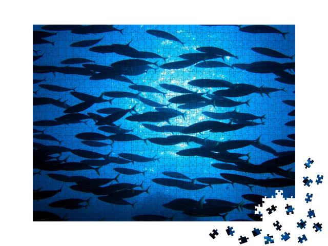 Puzzle de 1000 pièces « Banc de poissons dans les eaux bleues de l'océan »