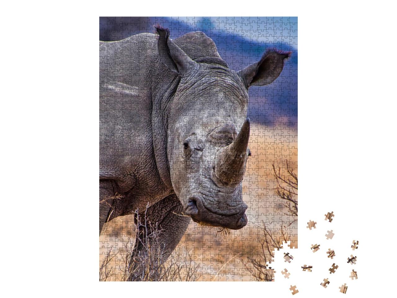 Puzzle de 1000 pièces « Rhinocéros blanc, Khama Rhino Sanctuary, Botswana »