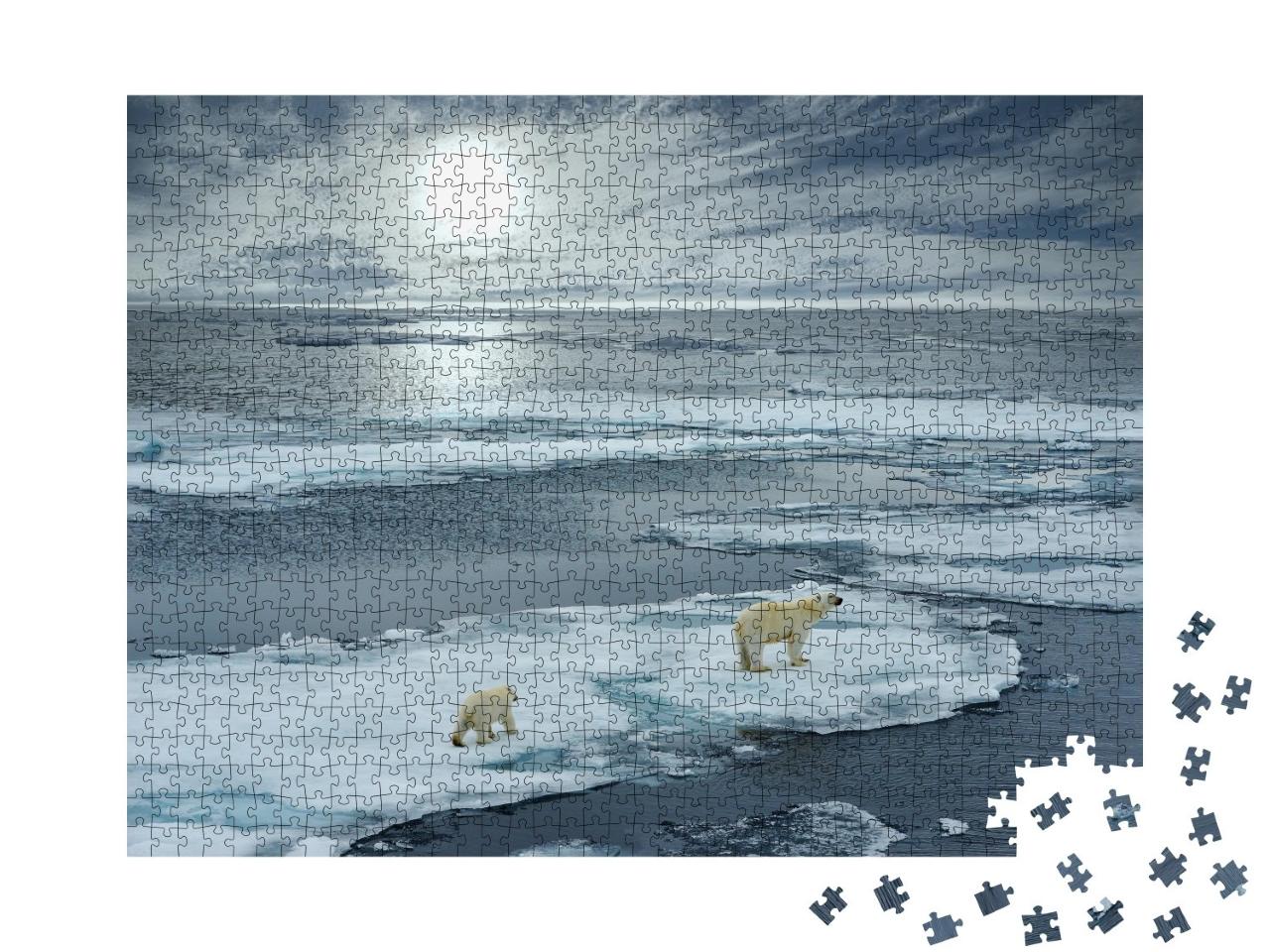 Puzzle de 1000 pièces « Ourse polaire et son ourson sur une banquise, Norvège »