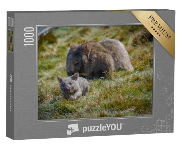 Puzzle de 1000 pièces « Maman wombat et son bébé, Tasmanie, Australie »