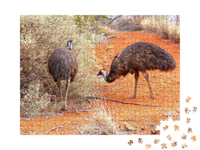 Puzzle de 1000 pièces « Emus dans le désert rouge près d'Uluru, Ayers Rock »