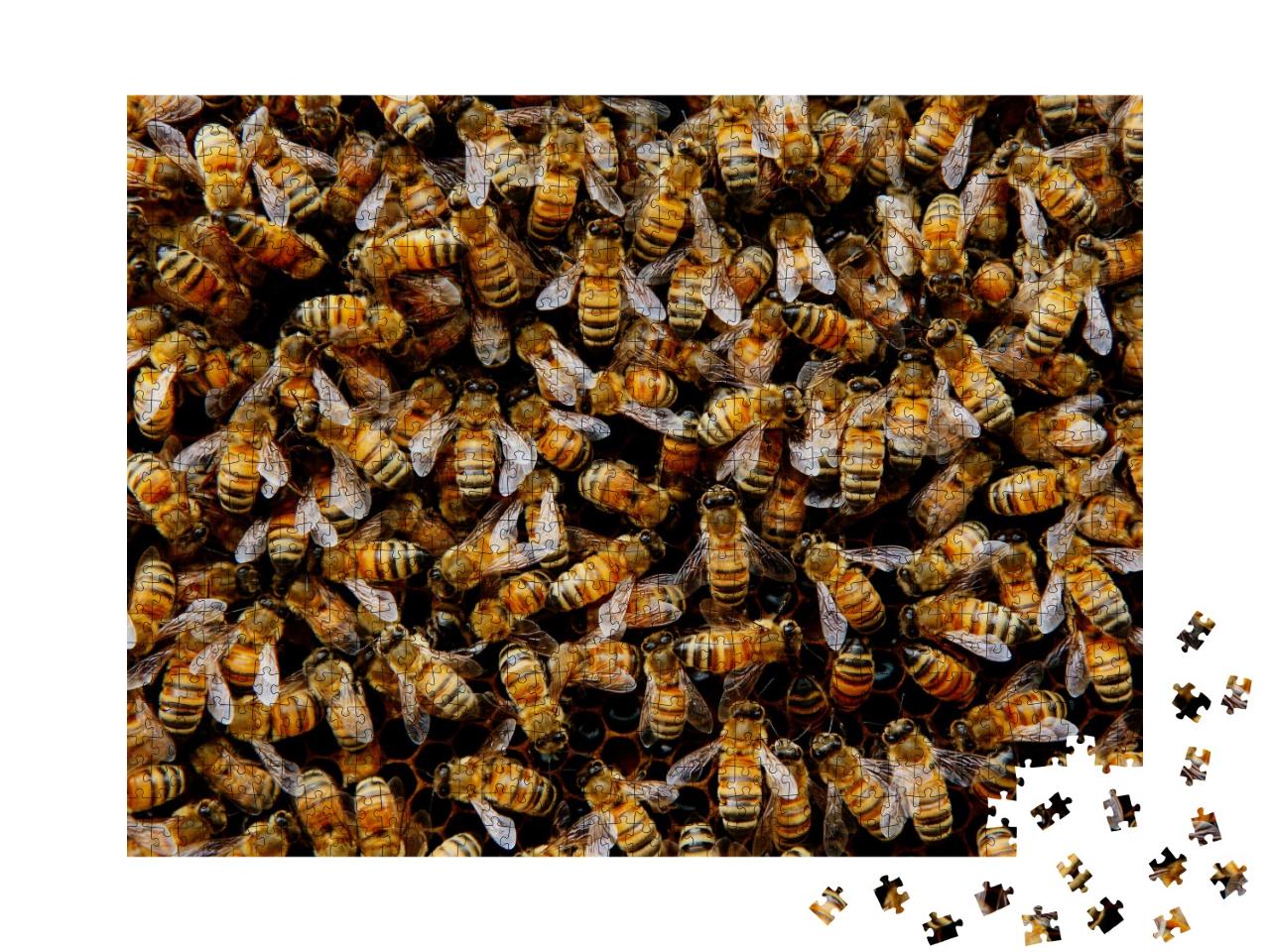 Puzzle de 1000 pièces « Une colonie d'abeilles se rassemble autour de sa reine »
