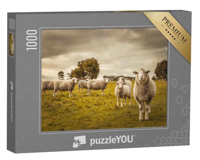Puzzle de 1000 pièces « Moutons dans leur pâturage »