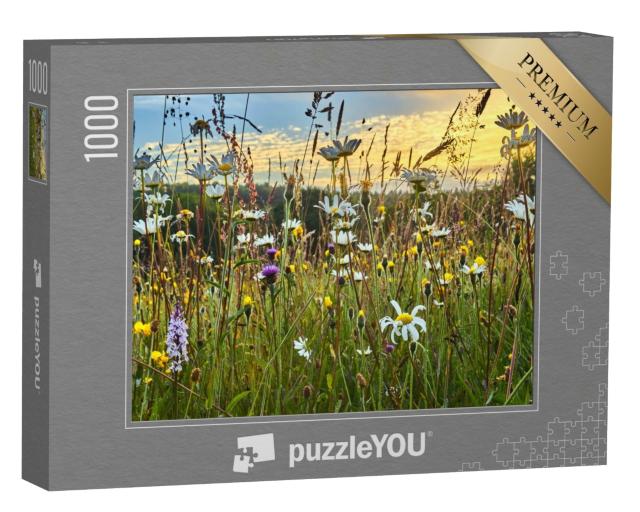 Puzzle de 1000 pièces « Une prairie de foin à fleurs sauvages en été »
