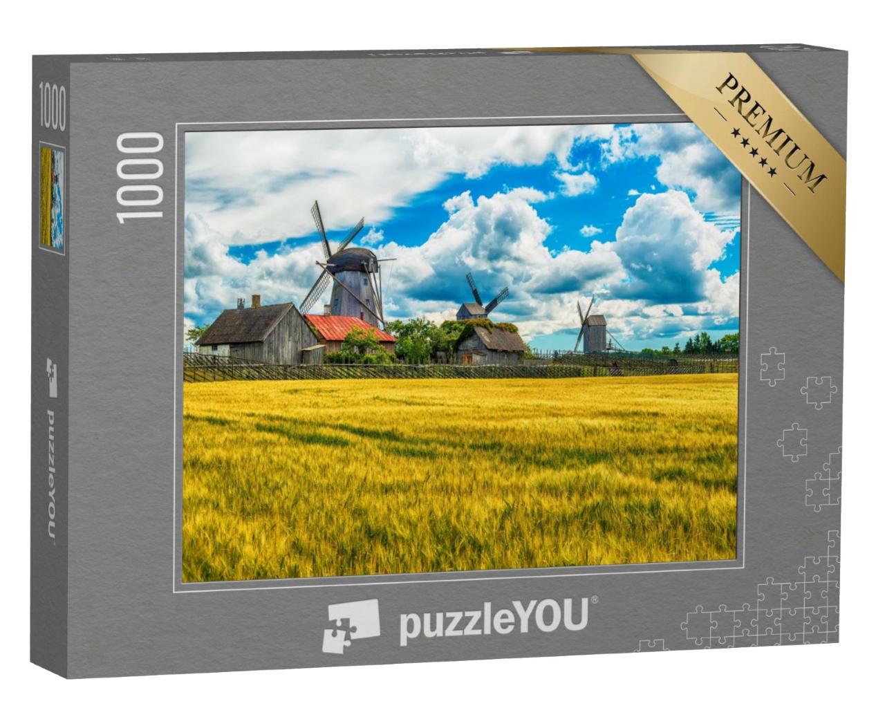 Puzzle de 1000 pièces « Champs d'été et moulins à vent Angla sur l'île de Saaremaa, Estonie »