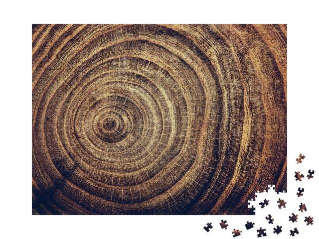 Puzzle de 1000 pièces « Souche d'un chêne abattu avec cernes annuels »