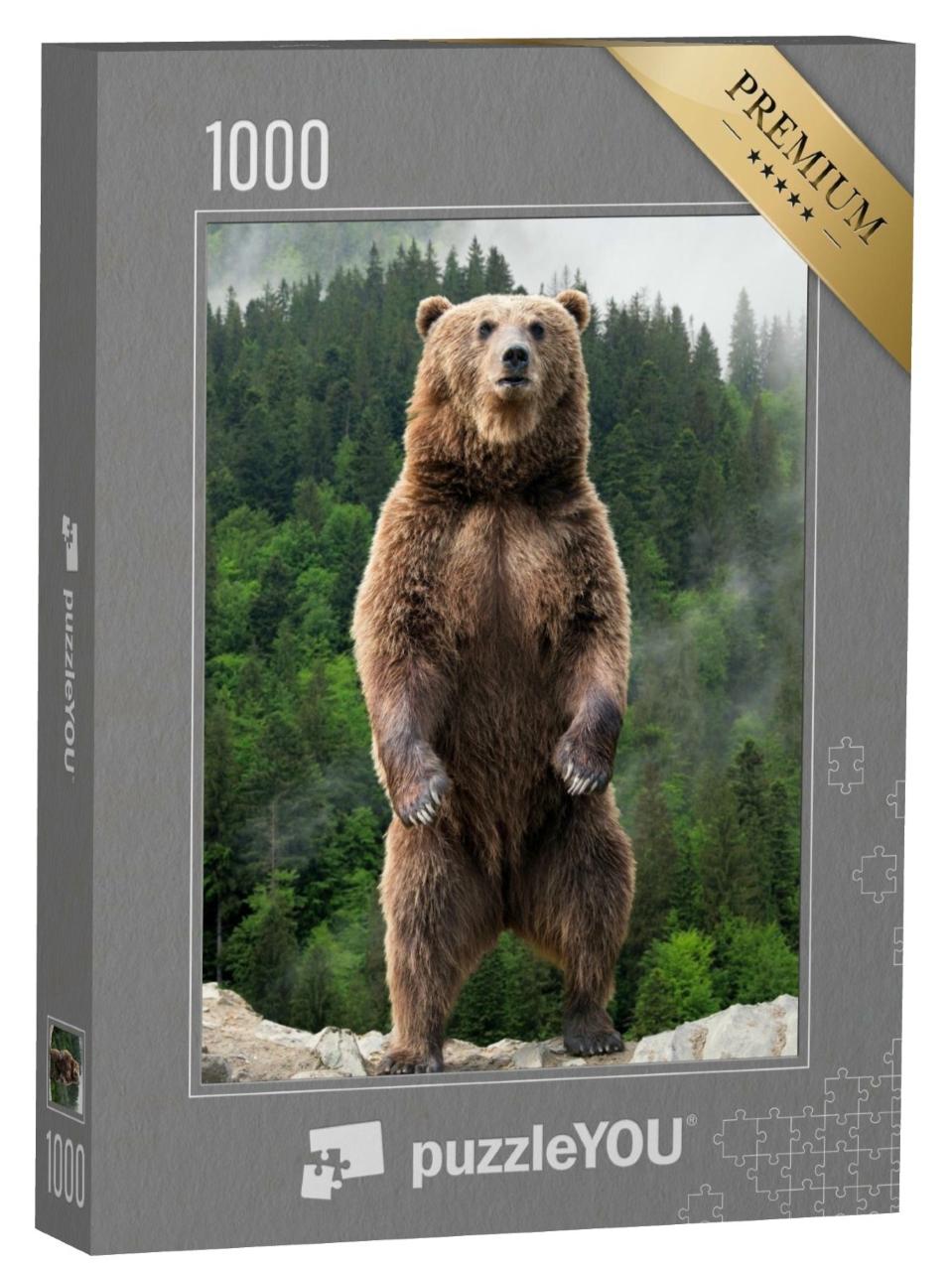 Puzzle de 1000 pièces « Impressionnant : l'ours brun sur ses pattes arrière »