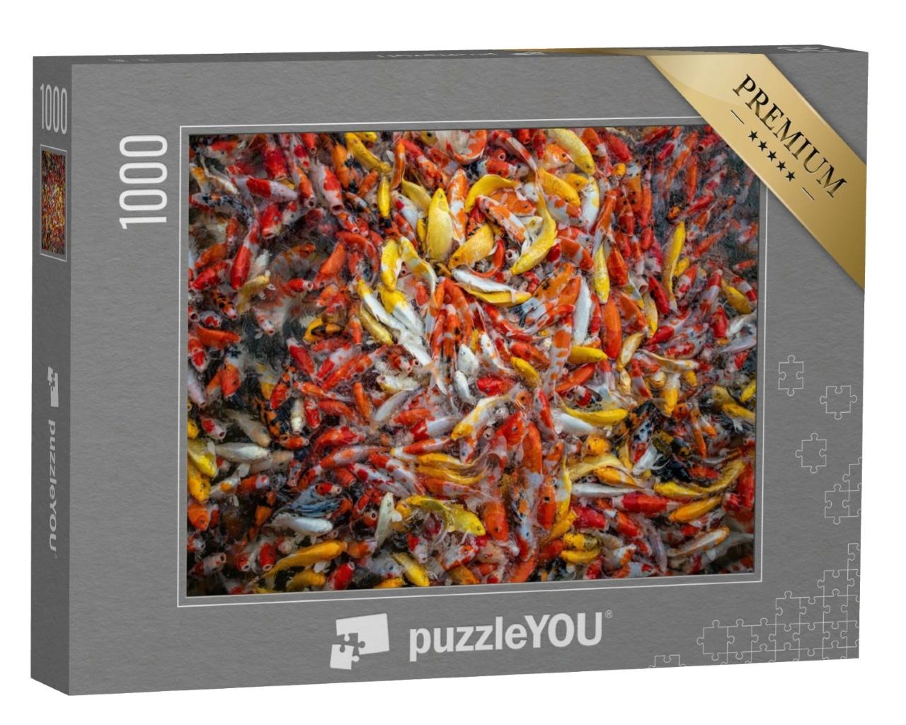Puzzle de 1000 pièces « Banc de poissons koï près de la surface de l'eau »