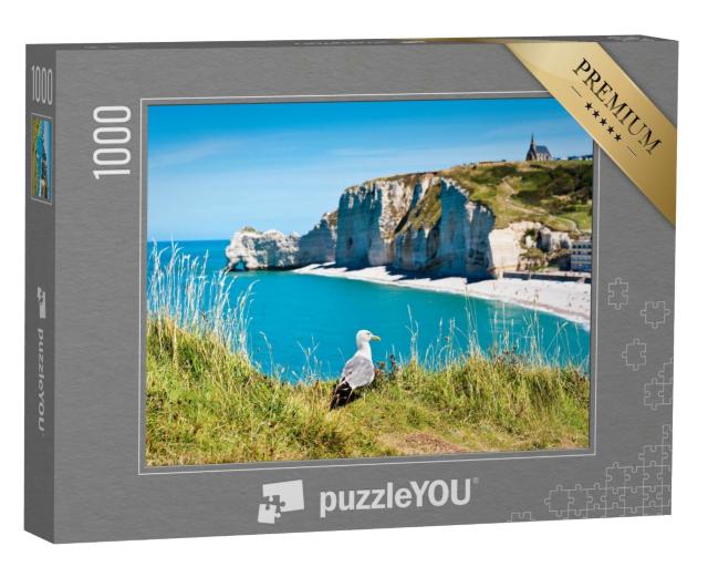 Puzzle de 1000 pièces « Mouette sur une plage rocheuse. Normandie, Côte d'Albatre, France. »