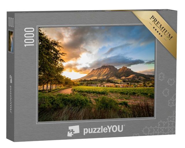 Puzzle de 1000 pièces « Région viticole de Stellenbosch avec vue sur le Simonsberg, Afrique du Sud »