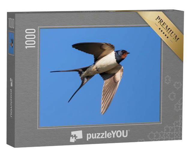 Puzzle de 1000 pièces « Portrait d'une hirondelle rustique en vol »