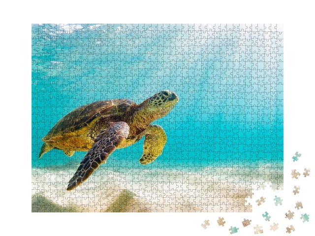 Puzzle de 1000 pièces « Tortue de mer dans les eaux des Galápagos »