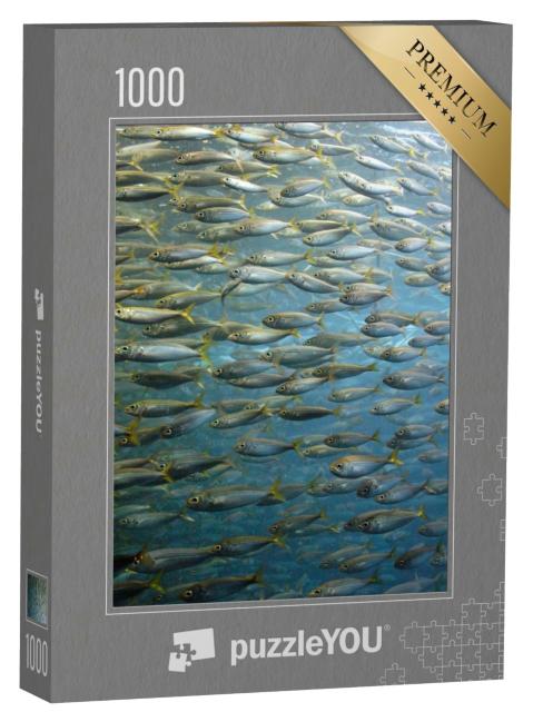 Puzzle de 1000 pièces « Banc de sardines »