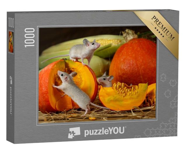 Puzzle de 1000 pièces « Trois jeunes souris explorent des citrouilles récoltées »