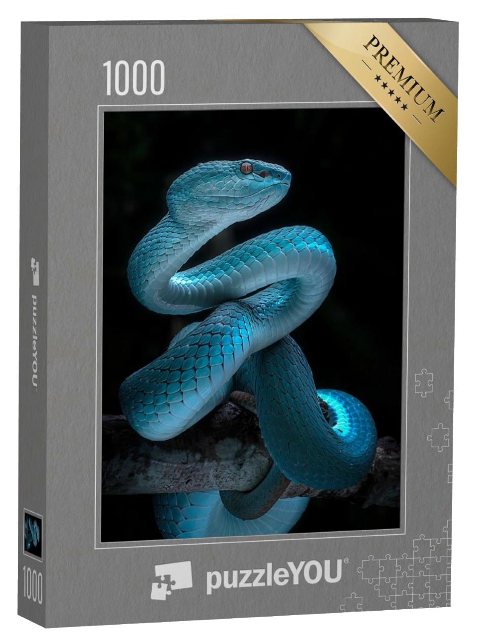 Puzzle de 1000 pièces « Serpent vipérin venimeux »