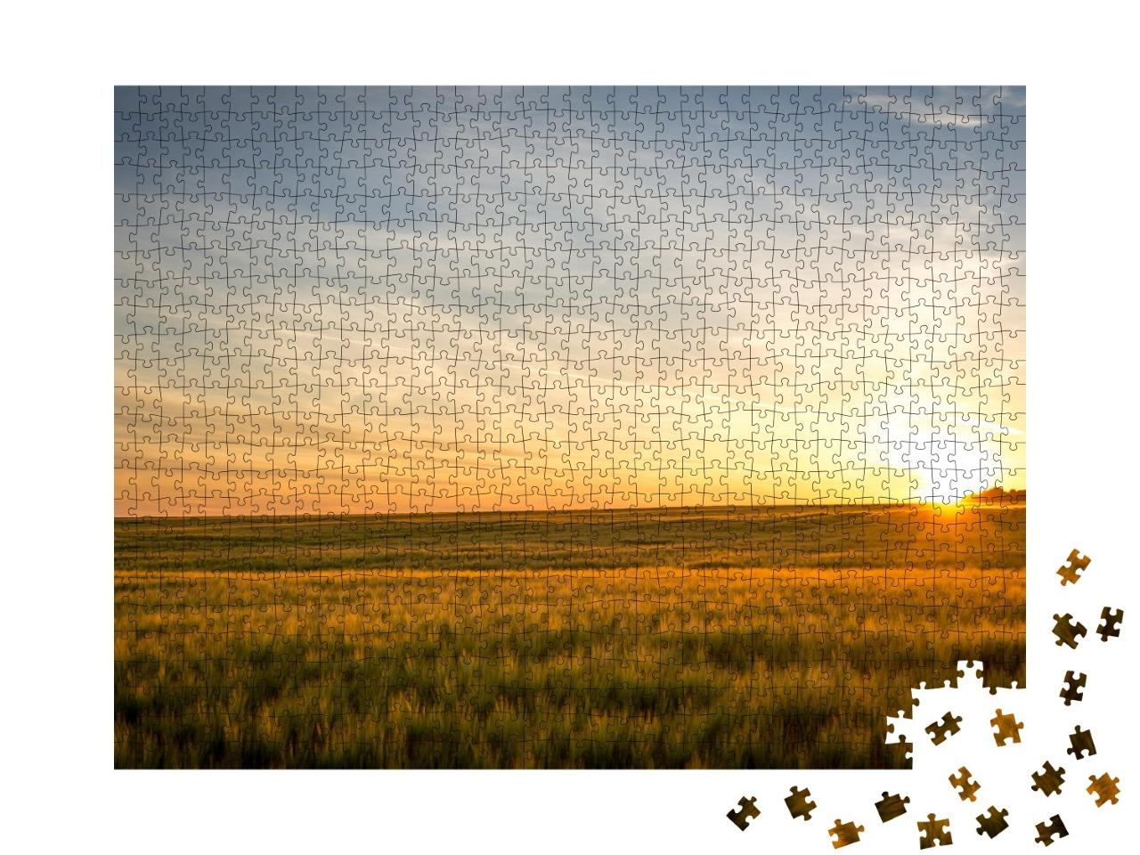Puzzle de 1000 pièces « Coucher de soleil dans un champ »