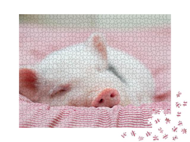 Puzzle de 1000 pièces « Petit porcelet en train de faire une sieste confortable »