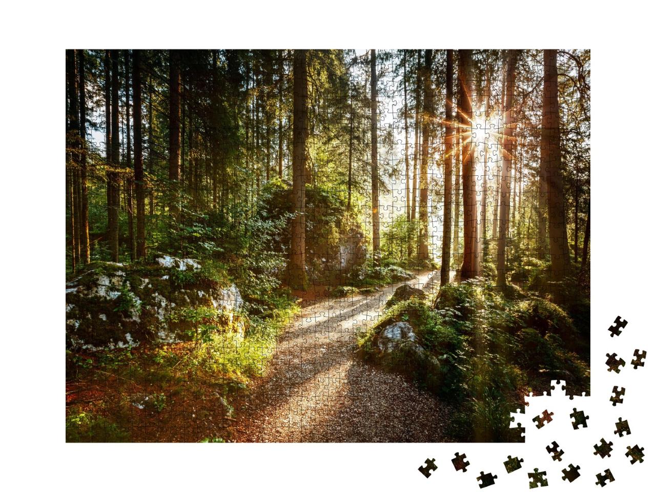 Puzzle de 1000 pièces « Paysage et chemin à travers la forêt au soleil du matin »