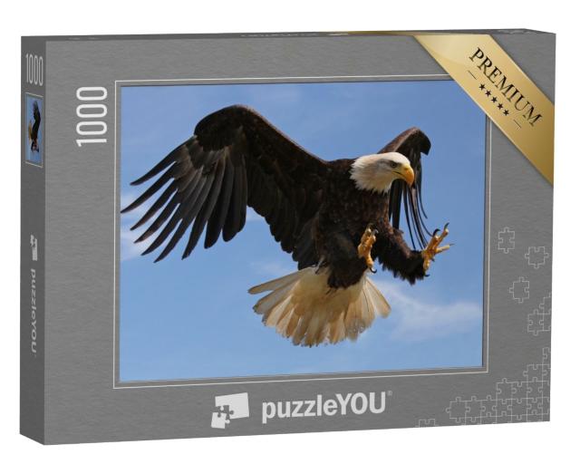 Puzzle de 1000 pièces « Un aigle qui vole »