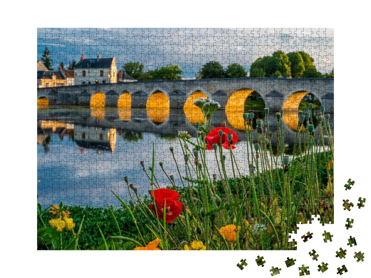 Puzzle de 1000 pièces « Montrichard, Vallée de la Loire, France »