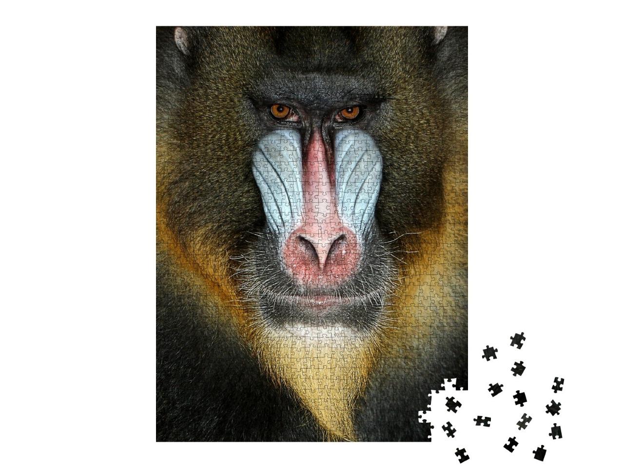 Puzzle de 1000 pièces « Gros plan sur un babouin »