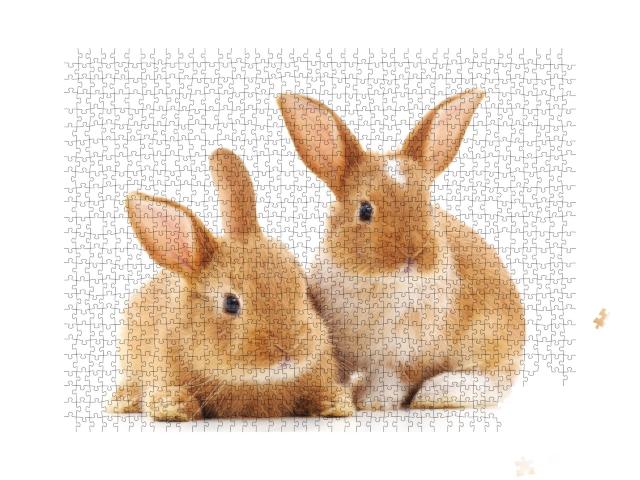 Puzzle de 1000 pièces « Deux petits lapins marron clair »
