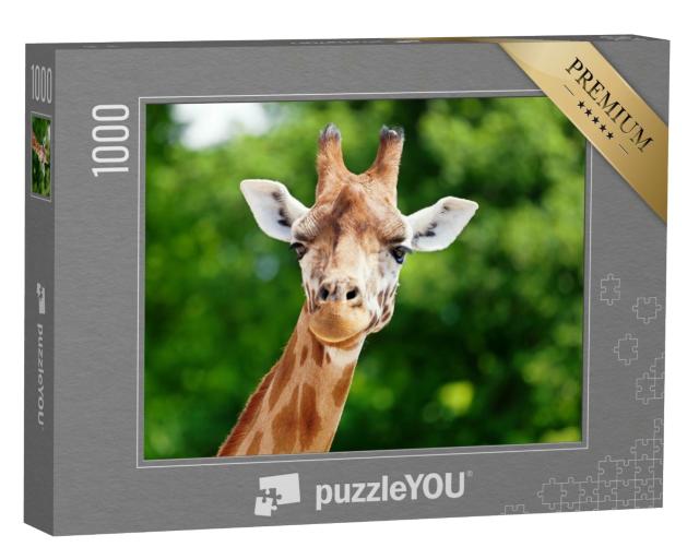 Puzzle de 1000 pièces « Gros plan sur une girafe »
