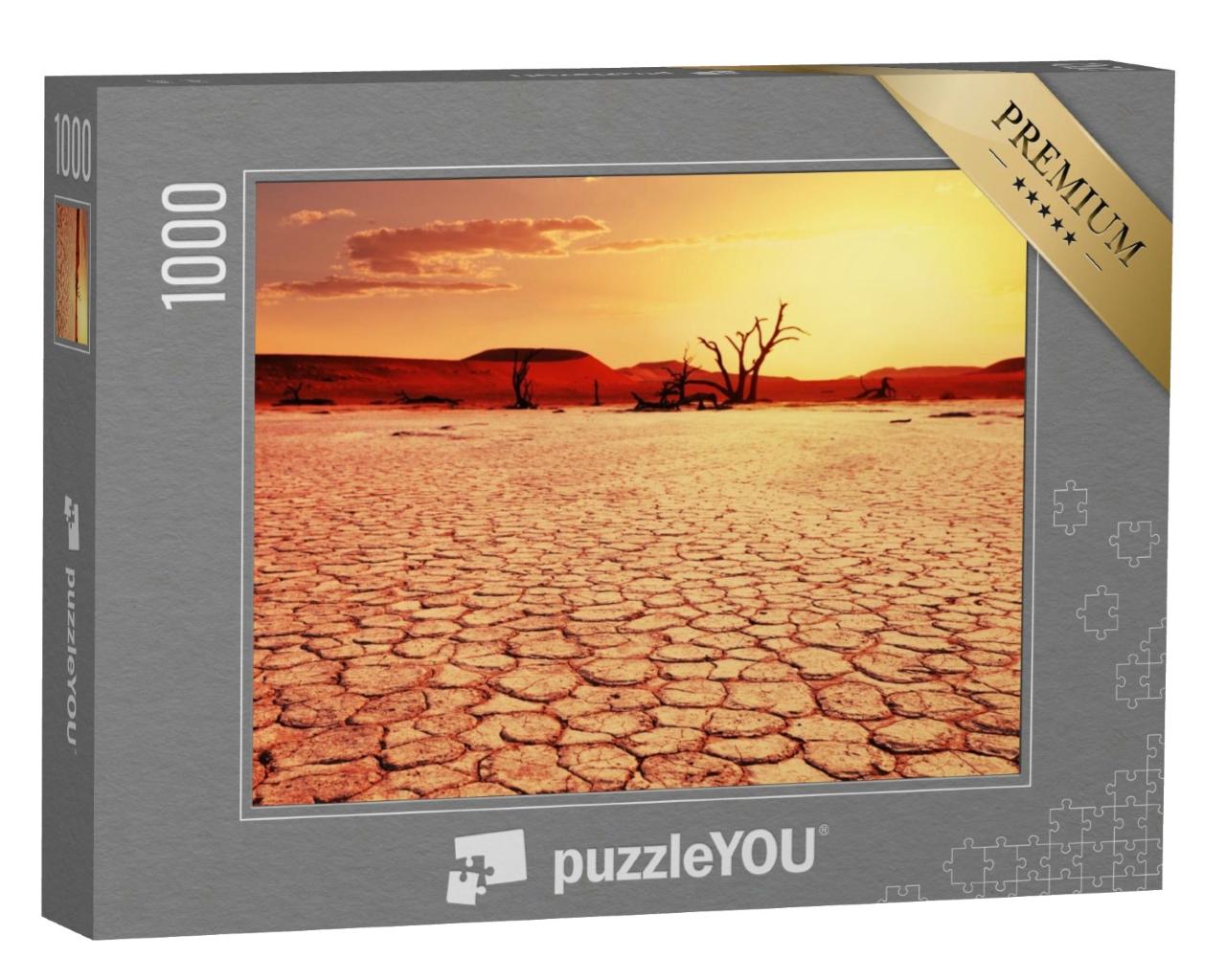 Puzzle de 1000 pièces « Vallée morte en Namibie »