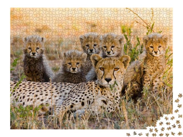 Puzzle de 2000 pièces « Une mère guépard et ses petits dans la savane, Kenya »