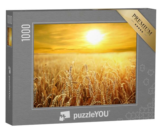 Puzzle de 1000 pièces « Coucher de soleil sur le champ de blé doré »
