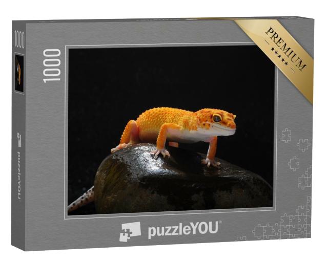 Puzzle de 1000 pièces « Gecko, lézard, lézard-gecko léopard »