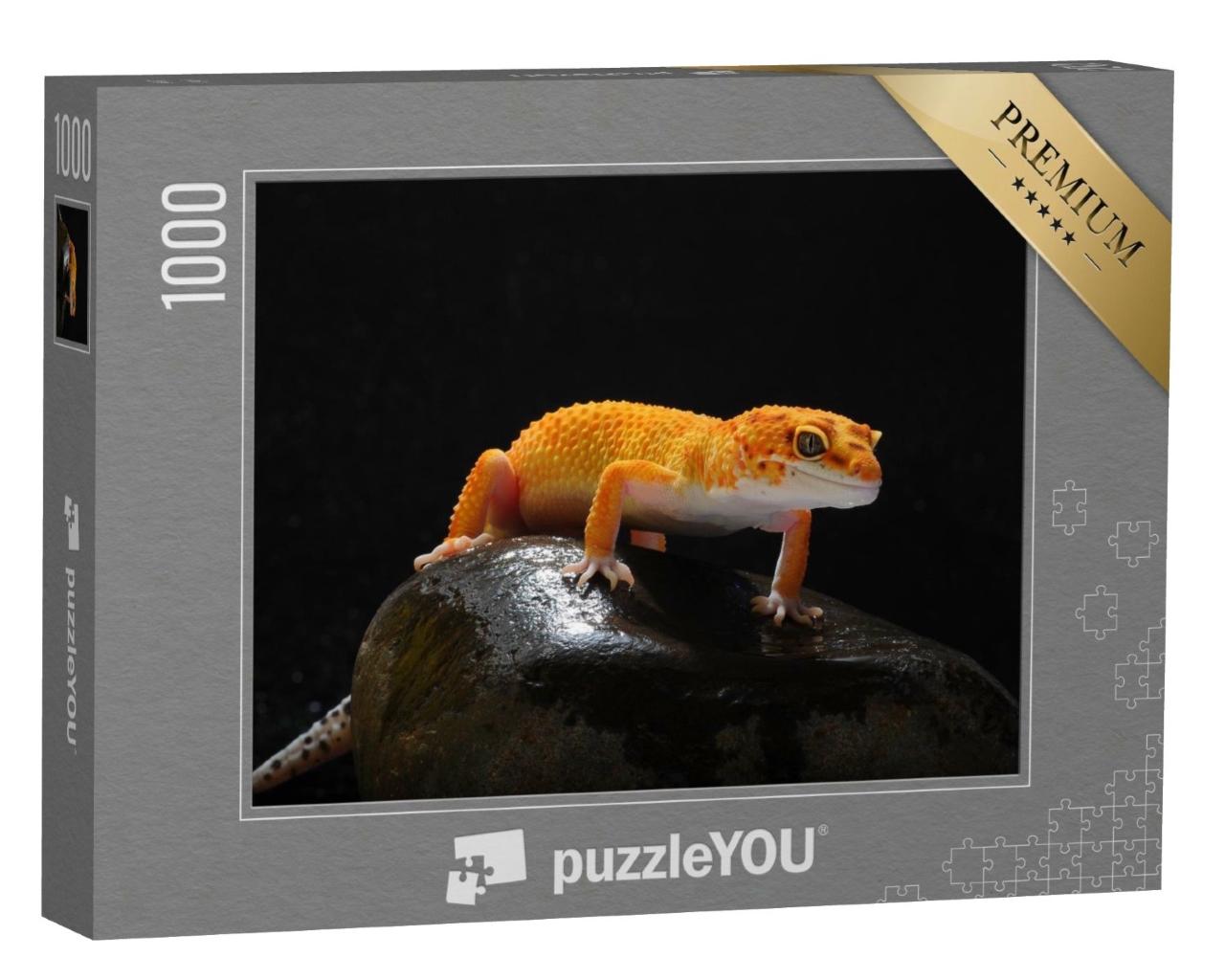 Puzzle de 1000 pièces « Gecko, lézard, lézard-gecko léopard »