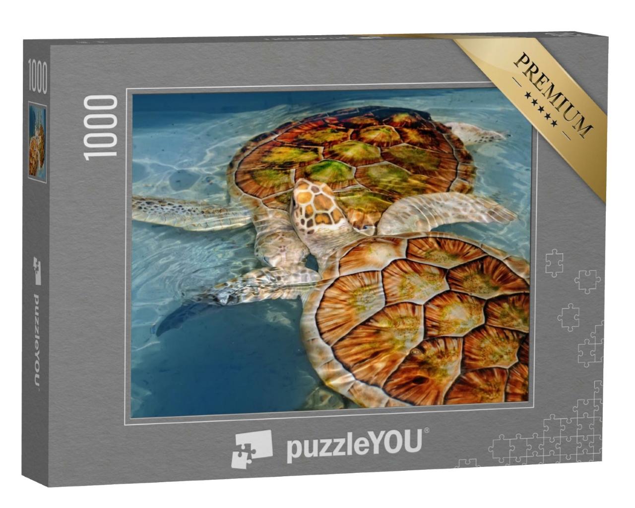 Puzzle de 1000 pièces « Deux tortues d'eau »