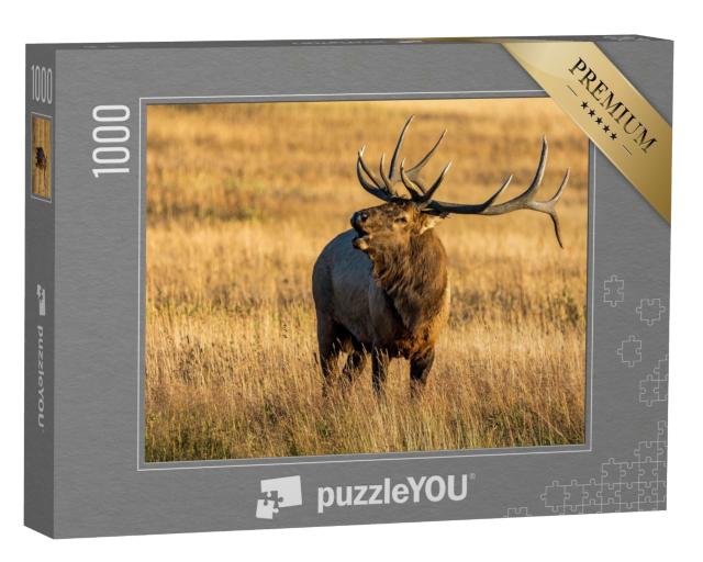 Puzzle de 1000 pièces « Les élans dans le parc national des Rocheuses »