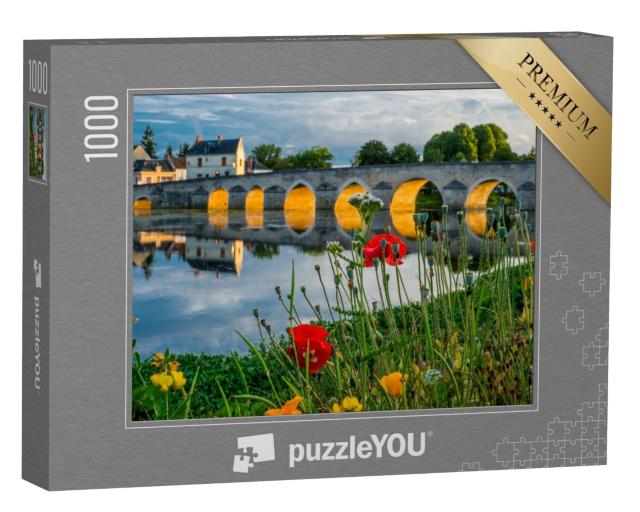 Puzzle de 1000 pièces « Montrichard, Vallée de la Loire, France »