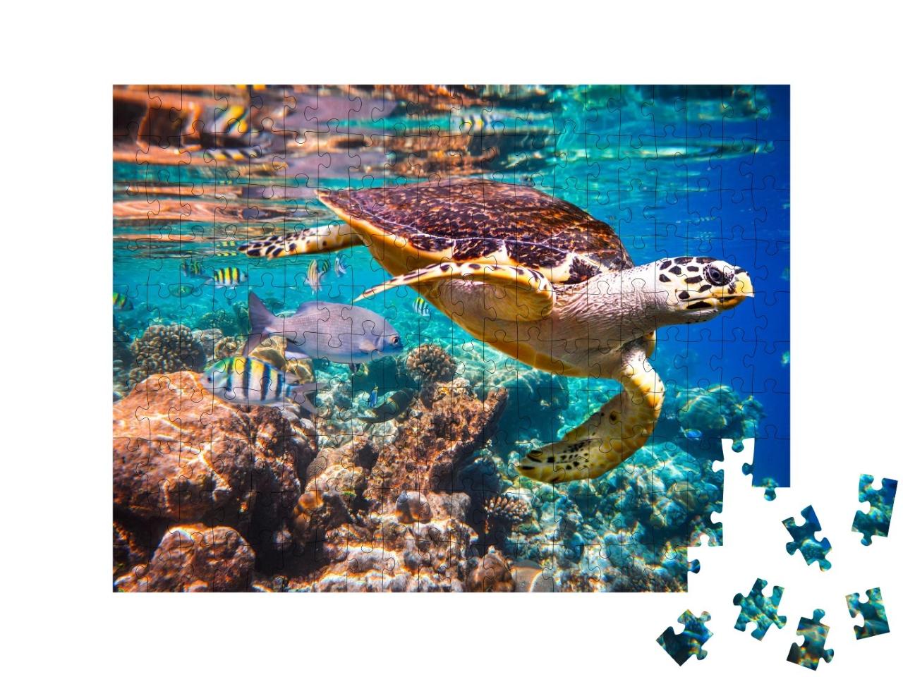 Puzzle de 200 pièces « Tortue imbriquée dans le récif corallien »