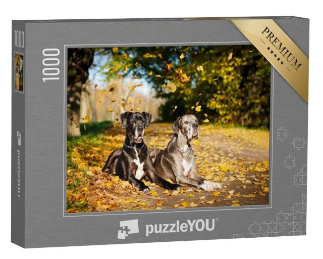 Puzzle de 1000 pièces « Deux dogues allemands »
