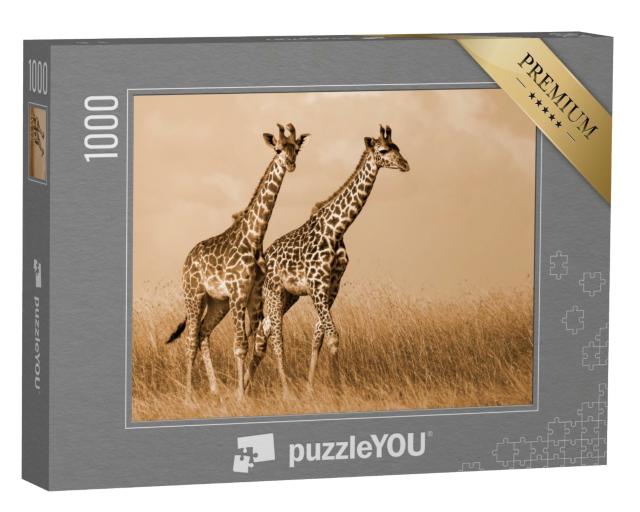 Puzzle de 1000 pièces « Couple de girafes en promenade »