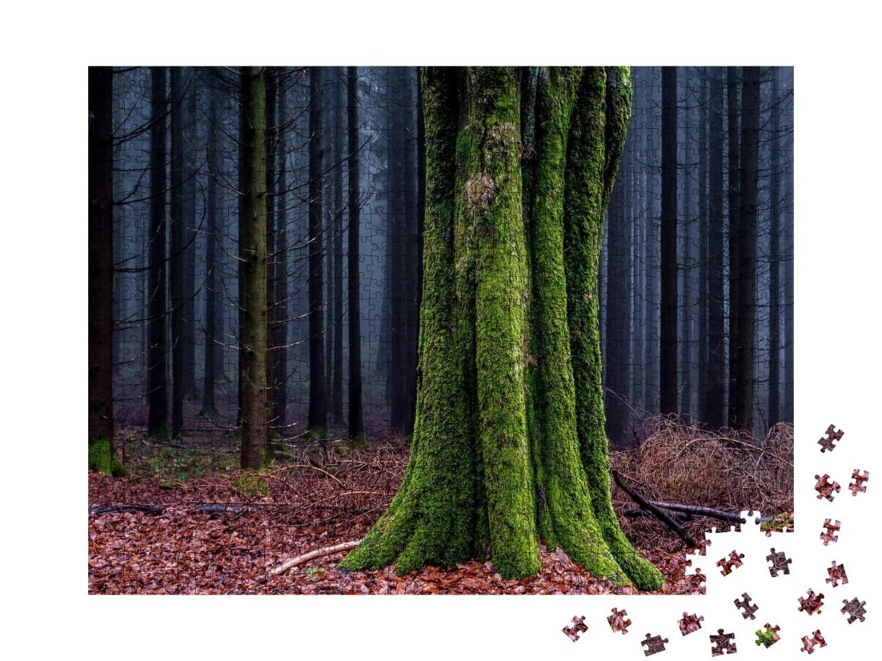 Puzzle de 1000 pièces « Tronc d'arbre couvert de mousse dans une forêt d'automne »